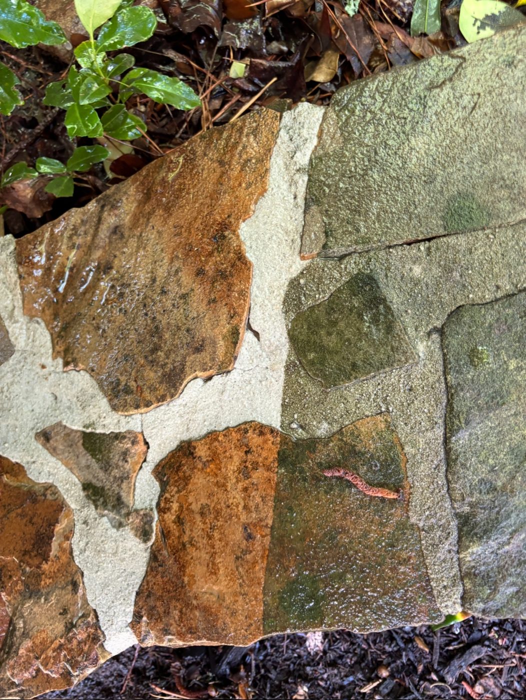 A flagstone walkway, half done. With pressure washing, the contrast is the sales pitch.